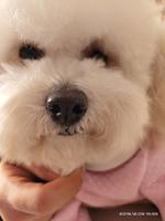 dxr测试920专项储值卡